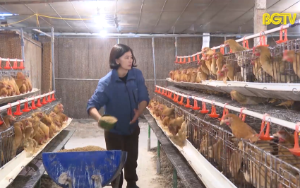 Ngăn chặn kh&aacute;ng kh&aacute;ng sinh trong chăn nu&ocirc;i