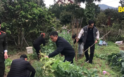 Ngăn chặn t&igrave;nh trạng người d&acirc;n "Lợi dụng" thiếu hiểu biết để trồng c&acirc;y c&oacute; chứa chất ma t&uacute;y 