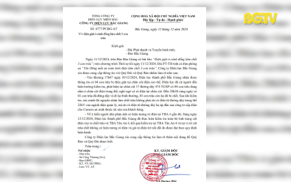 Ng&agrave;nh điện lực trả lời về nguy&ecirc;n nh&acirc;n 3 con tr&acirc;u bị chết
