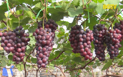 Ng&agrave;nh N&ocirc;ng nghiệp phấn đấu ho&agrave;n th&agrave;nh mục ti&ecirc;u tăng trưởng 6 th&aacute;ng cuối năm