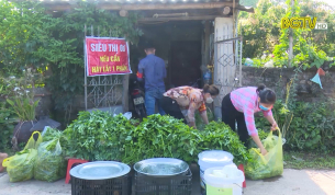 Nghĩa t&igrave;nh trong đại dịch