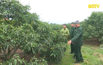 Người cựu chiến binh trong thời b&igrave;nh