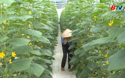 Tiếp tục ph&aacute;t huy vai tr&ograve; hội n&ocirc;ng d&acirc;n trong x&acirc;y dựng n&ocirc;ng nghiệp, n&ocirc;ng th&ocirc;n