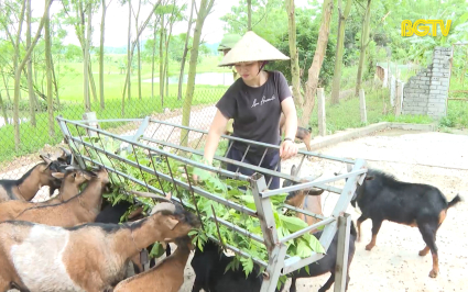 Người phụ nữ biến đất hoang th&agrave;nh trang trại