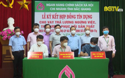 Nguồn vốn vay ch&iacute;nh s&aacute;ch ph&aacute;t huy hiệu quả trong dịch bệnh