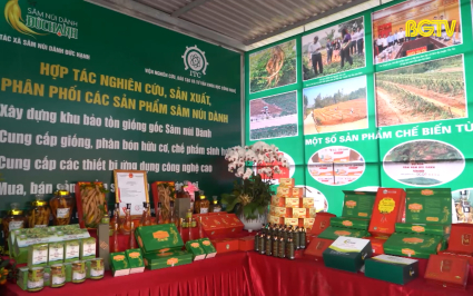 Nguy cơ ảnh hưởng đến thương hiệu, chất lượng s&acirc;m Nam n&uacute;i D&agrave;nh