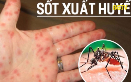 Nhận biết v&agrave; ph&ograve;ng ngừa bệnh sốt xuất huyết  