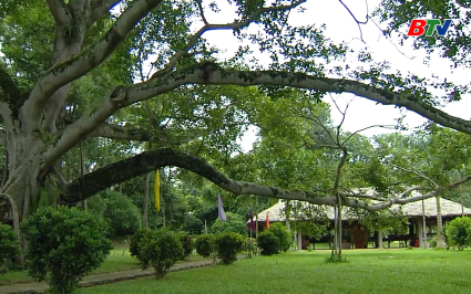 Nhận diện sự thật:  Nghệ thuật chớp thời cơ chứ kh&ocirc;ng phải sự "ngẫu nhi&ecirc;n" của lịch sử