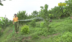 Nh&acirc;n l&ecirc;n c&aacute;c điển h&igrave;nh n&ocirc;ng d&acirc;n SXKD giỏi