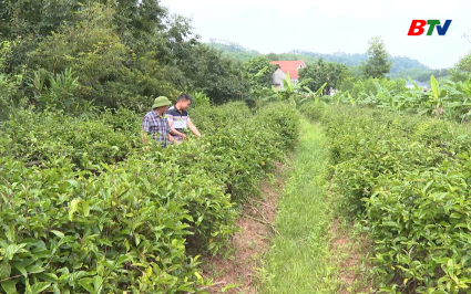 Nh&acirc;n l&ecirc;n điển h&igrave;nh l&agrave;m kinh tế giỏi v&ugrave;ng d&acirc;n tộc thiểu số 