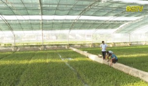 Nh&acirc;n rộng m&ocirc; h&igrave;nh kinh tế Hội n&ocirc;ng d&acirc;n