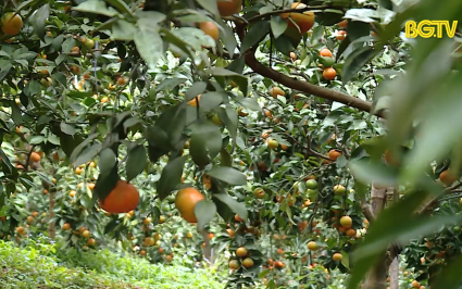 Nhanh ch&oacute;ng kh&ocirc;i phục sản xuất &ndash; Tăng tối đa gi&aacute; trị