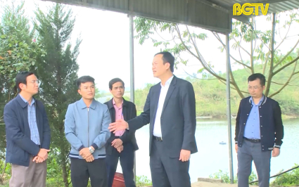 Nhanh ch&oacute;ng xử l&yacute; vụ việc c&ocirc;ng ty chăn nu&ocirc;i g&acirc;y &ocirc; nhiễm m&ocirc;i trường tại Sơn Động