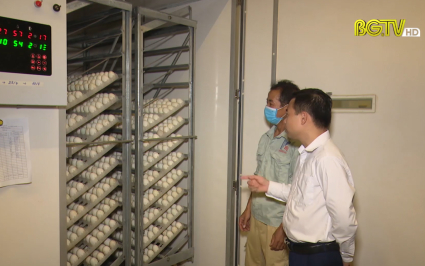 Nhập khẩu m&aacute;y ấp trứng c&ocirc;ng nghệ H&agrave;n Quốc