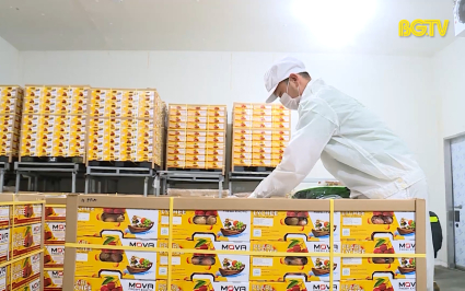 Nhiều sản phẩm OCOP đ&aacute;p ứng y&ecirc;u cầu xuất khẩu