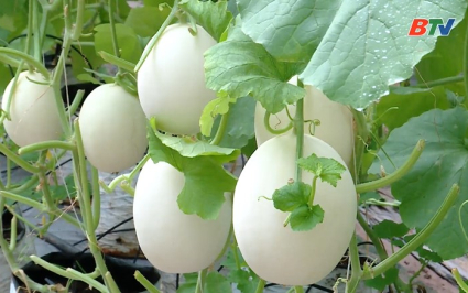 Nhịp cầu Khuyến n&ocirc;ng ng&agrave;y 30-06-2026