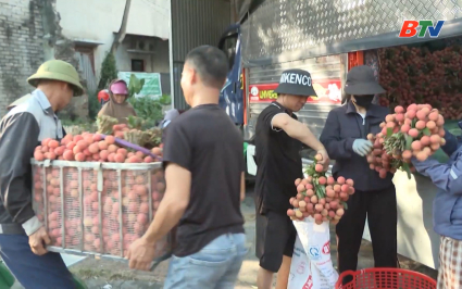 Nhộn nhịp ti&ecirc;u thụ vải thiều 