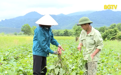 Những Đảng vi&ecirc;n &ldquo;3 d&aacute;m&rdquo; 