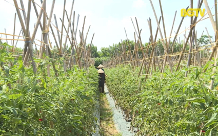 Những điển h&igrave;nh trong ph&aacute;t triển kinh tế