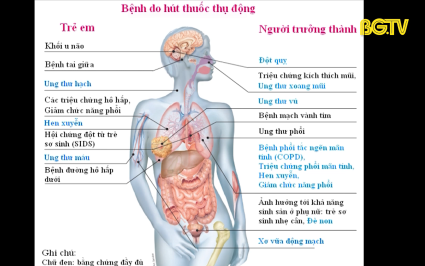 Những điều chưa biết về h&uacute;t thuốc l&aacute; thụ động