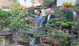 Những người thổi hồn v&agrave;o c&acirc;y