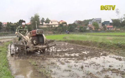 N&ocirc;ng d&acirc;n Sơn Động gieo cấy l&uacute;a chi&ecirc;m xu&acirc;n