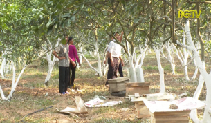 N&ocirc;ng d&acirc;n tuổi T&yacute; sản xuất kinh doanh giỏi