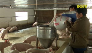 N&ocirc;ng d&acirc;n Y&ecirc;n Dũng l&agrave;m gi&agrave;u nhờ phong tr&agrave;o sản xuất kinh doanh giỏi