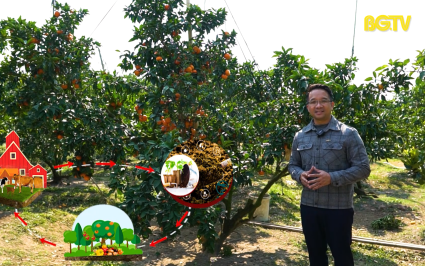 N&ocirc;ng nghiệp tuần ho&agrave;n: Nền tảng ph&aacute;t triển n&ocirc;ng nghiệp bền vững
