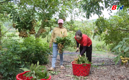 Tạp ch&iacute; N&ocirc;ng nghiệp v&agrave; M&ocirc;i trường: N&ocirc;ng nghiệp c&ocirc;ng nghệ cao động lực cho ứng dụng chuyển đổi số