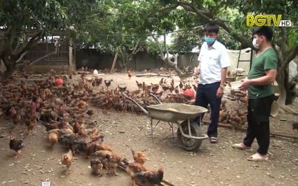 N&ocirc;ng sản Bắc Giang đ&aacute;p ứng nhu cầu xuất khẩu