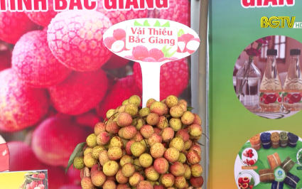 N&ocirc;ng sản Bắc Giang thu h&uacute;t người ti&ecirc;u d&ugrave;ng tại Ng&agrave;y hội tr&aacute;i c&acirc;y Tiền Giang