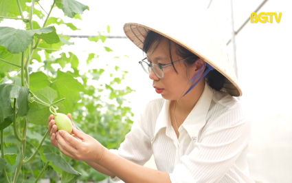 Nữ thủ lĩnh HTX năng động, l&agrave;m kinh tế giỏi