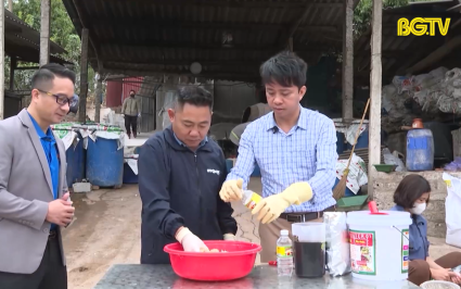 PBKT: Tỏi - Kh&aacute;ng sinh tự nhi&ecirc;n