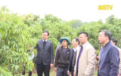Kiểm tra t&igrave;nh h&igrave;nh sản xuất n&ocirc;ng nghiệp tại Lục Ngạn 