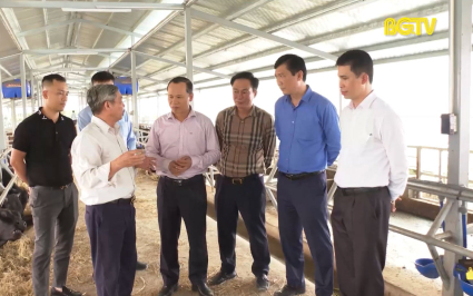 Ph&oacute; Chủ tịch TT UBND tỉnh Mai Sơn kiểm tra một số đề t&agrave;i, dự &aacute;n KH&CN
