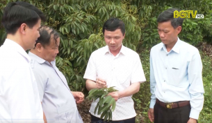 PCT TW Hội n&ocirc;ng d&acirc;n Việt Nam l&agrave;m việc với Hội n&ocirc;ng d&acirc;n tỉnh