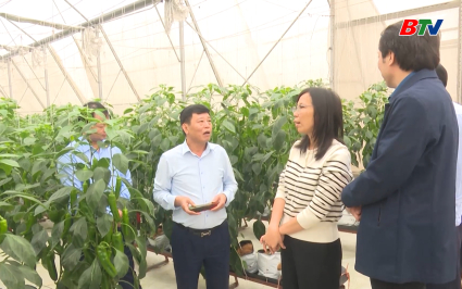 L&atilde;nh đạo UBND tỉnh thăm c&aacute;c m&ocirc; h&igrave;nh HTX ti&ecirc;u biểu