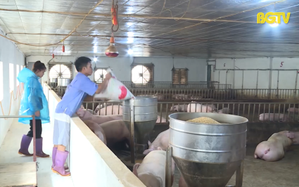 Ng&agrave;nh n&ocirc;ng nghiệp phấn đấu ho&agrave;n th&agrave;nh mục ti&ecirc;u tăng trưởng