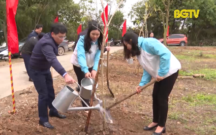 Ph&aacute;t động Tết trồng c&acirc;y đời đời nhớ ơn B&aacute;c Hồ xu&acirc;n Gi&aacute;p Th&igrave;n