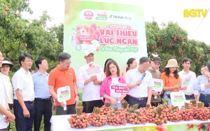 Ph&aacute;t động tuần lễ vải thiều Lục Ngạn - Tự h&agrave;o n&ocirc;ng sản Việt