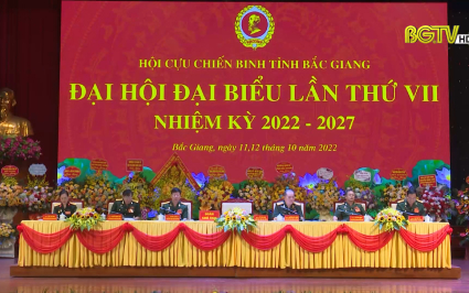 Ph&aacute;t huy bản chất bộ đội cụ Hồ, truyền thống vẻ vang của cựu chiến binh