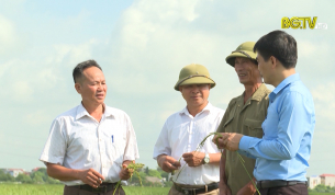 Ph&aacute;t huy hiệu quả m&ocirc; h&igrave;nh d&acirc;n vận kh&eacute;o
