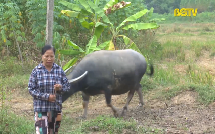 Ph&aacute;t triển kinh tế v&ugrave;ng đồng b&agrave;o DTTS