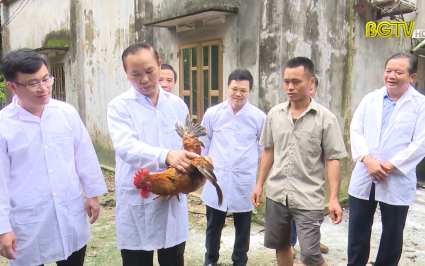Ph&aacute;t triển n&ocirc;ng nghiệp Bắc Giang to&agrave;n diện bền vững