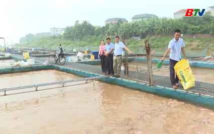 Ph&aacute;t triển nu&ocirc;i c&aacute; lồng tr&ecirc;n s&ocirc;ng