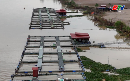 Phổ biến kiến thức: Biện ph&aacute;p ph&ograve;ng chống b&atilde;o trong nu&ocirc;i c&aacute; lồng