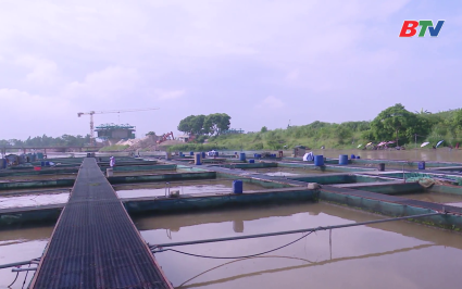 Phổ biến kiến thức: Đảm bảo an to&agrave;n nu&ocirc;i thả c&aacute; lồng tr&ecirc;n s&ocirc;ng m&ugrave;a mưa b&atilde;o
