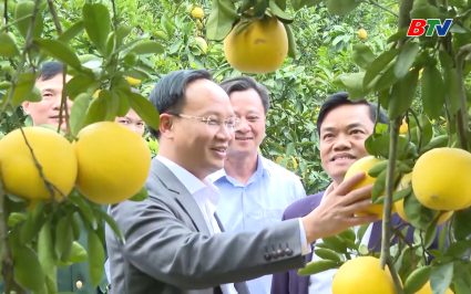 Ph&oacute; Chủ tịch UBND tỉnh kiểm tra chuẩn bị lễ hội tr&aacute;i c&acirc;y