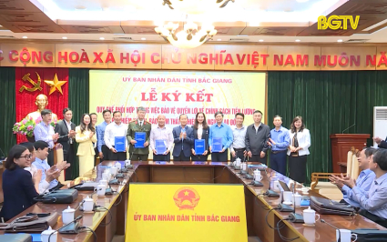 Phối hợp bảo vệ quyền lợi về ch&iacute;nh s&aacute;ch tiền lương, BHXH, BHTN cho người lao động 